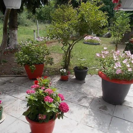 Apartment Drosia *