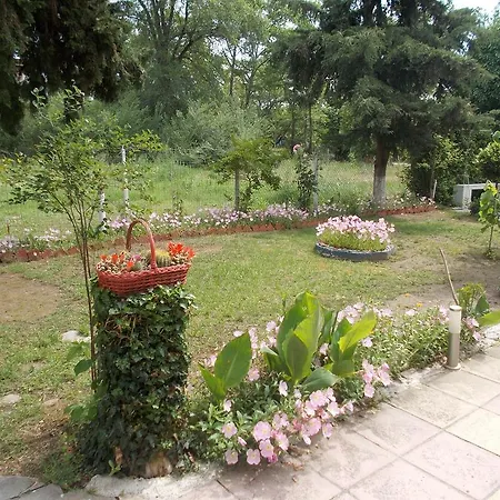 Apartment Drosia Asprovalta