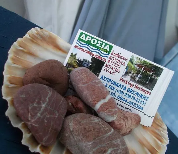 公寓 德罗西亚公寓 *