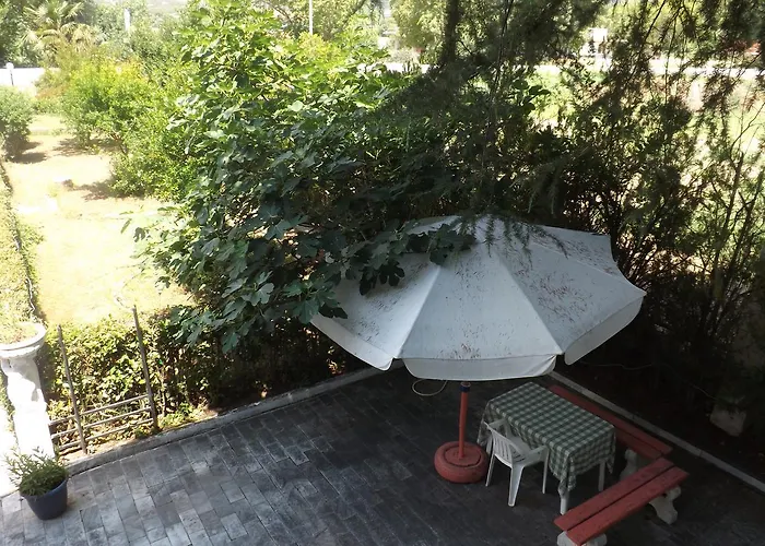 德罗西亚公寓 公寓